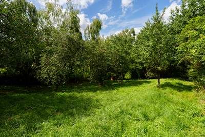 ogromny wybieg dla psów